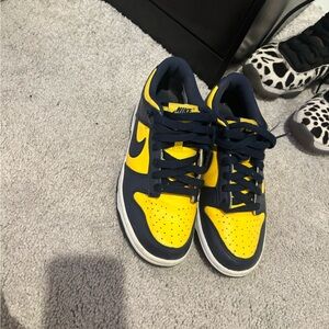 Nike Michigan Dunks (limited edition)